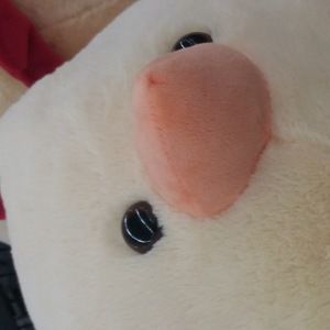 Meet your Posher, Candace